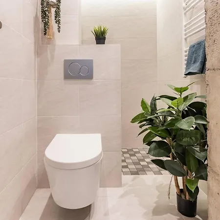 Living Berabera * San Sebastian