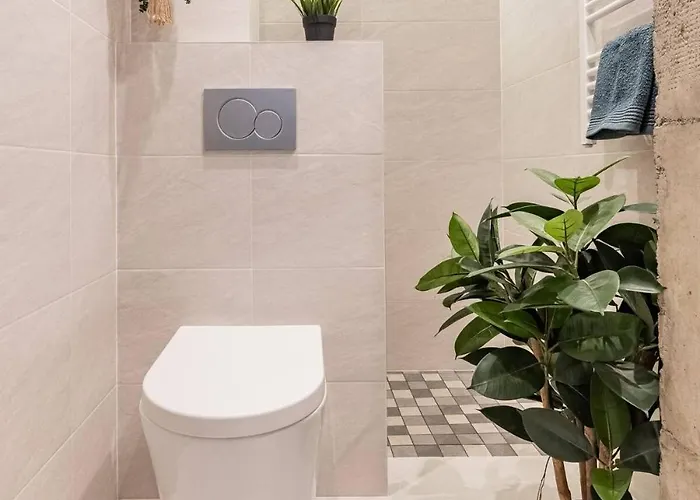 Living Berabera * San Sebastián